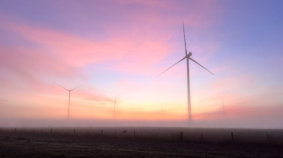 Golden Plains Windfarm | Centre for Sustainability and Business
