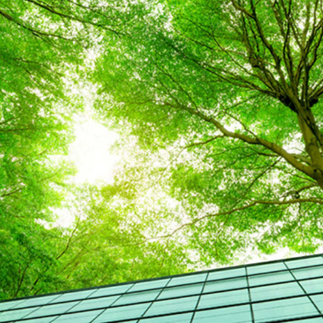 Sustainability for Strategic Advantage | Melbourne Business School