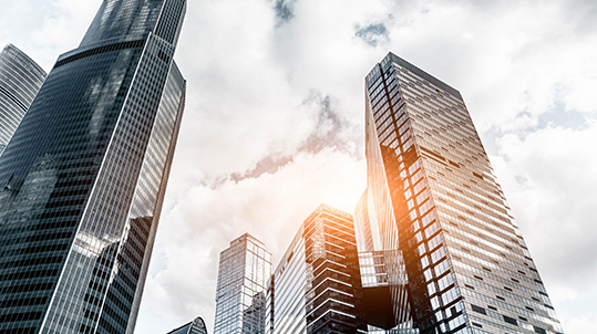 This stream of research concerns how various social trends in our global economy impact on international business (IB) decisions and outcomes.