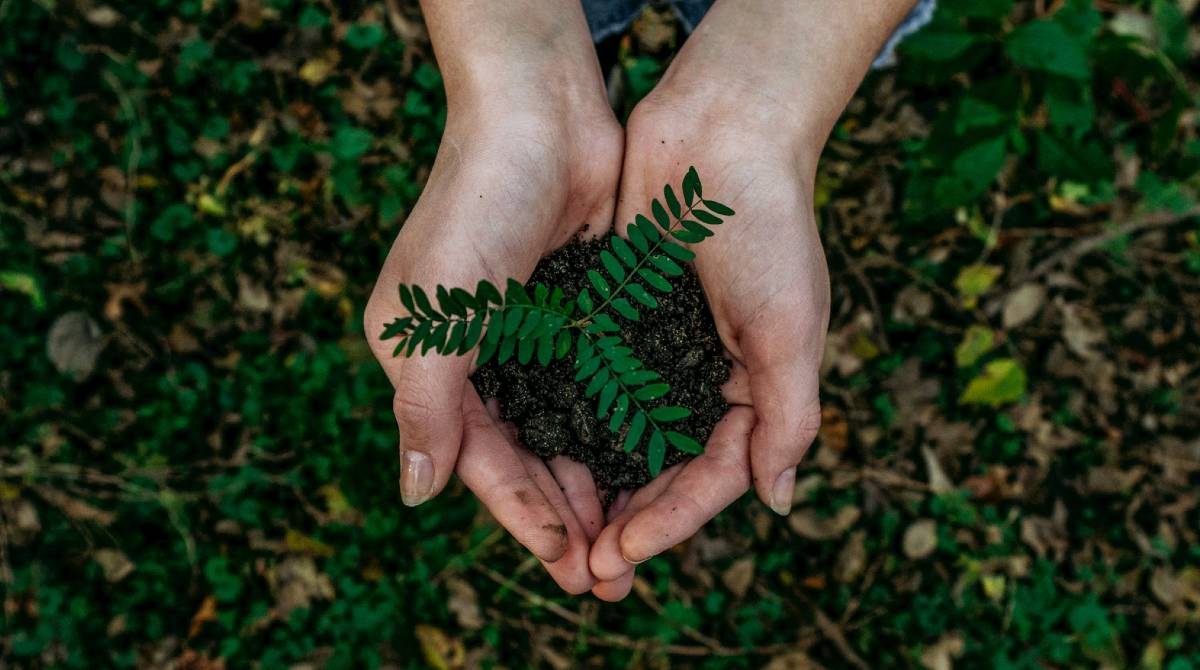 Melbourne Business School and the University of Melbourne have been recognised for their first UN PRME sustainability report